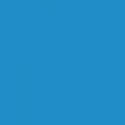 BD Seamless Corded Patriot Blue 2.72m x 11m